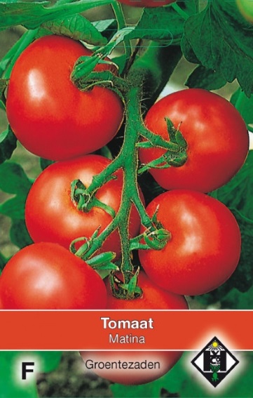 Tomaat Matina (Solanum) 70 zaden